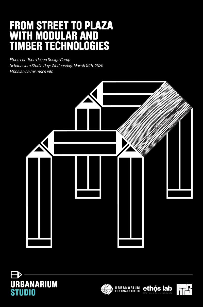 Street to Plaza Poster
