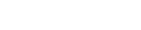 Neptis Logo