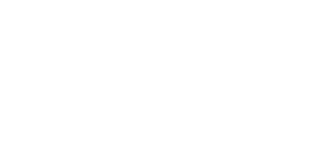 BFL Logo