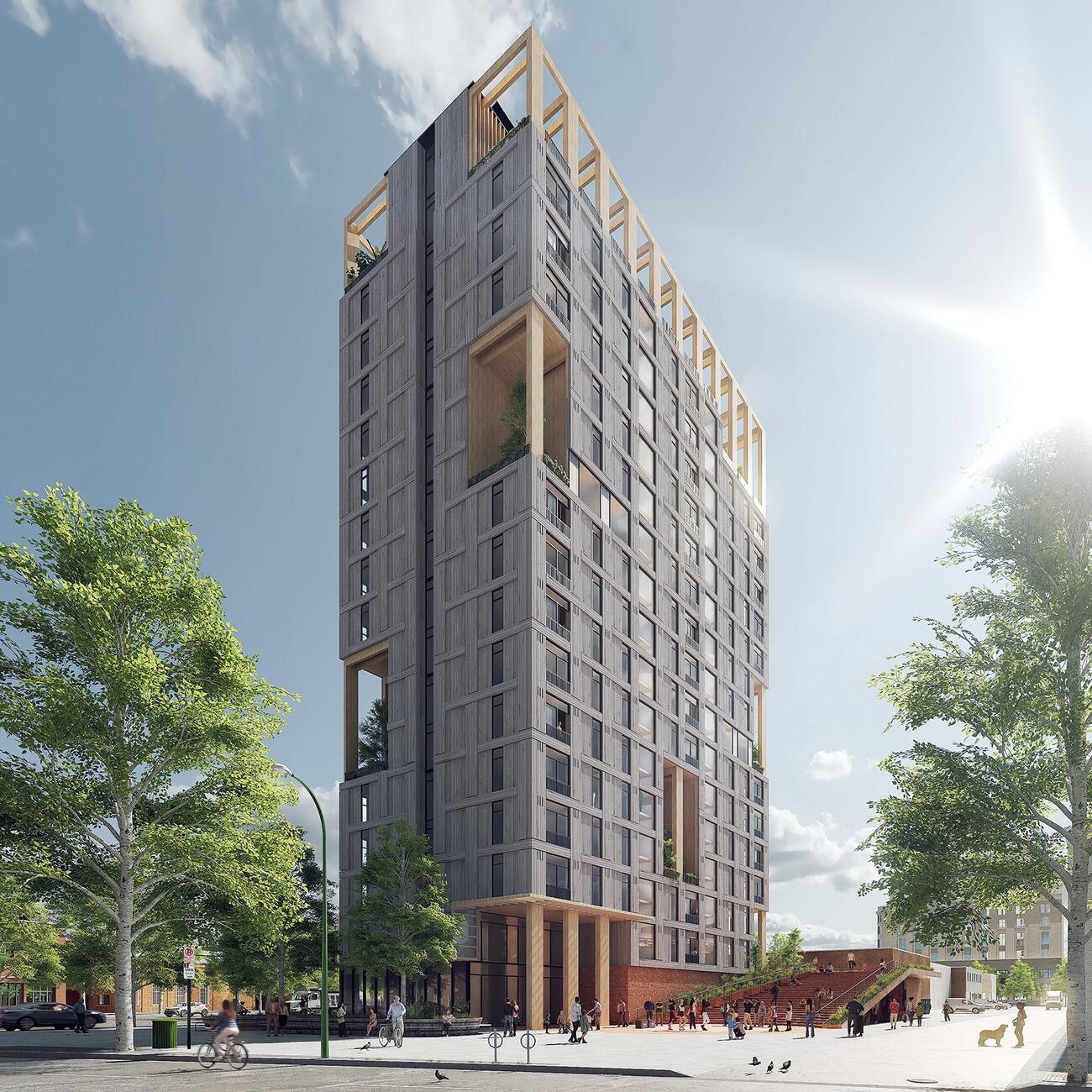 Timber Commons - MT3